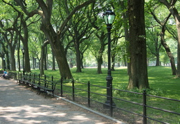 Central Park2011d16c141